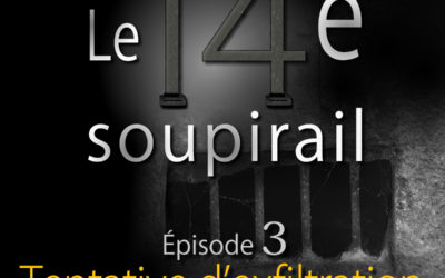 Le 14e soupirail – Épisode 3 – Tentative d’exfiltration chez FNAC et KOBO